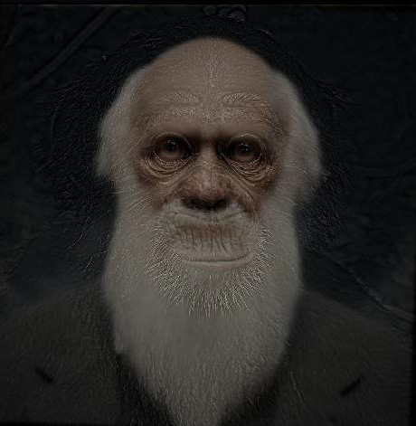 darwin_monkey.jpg